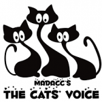 cats voice