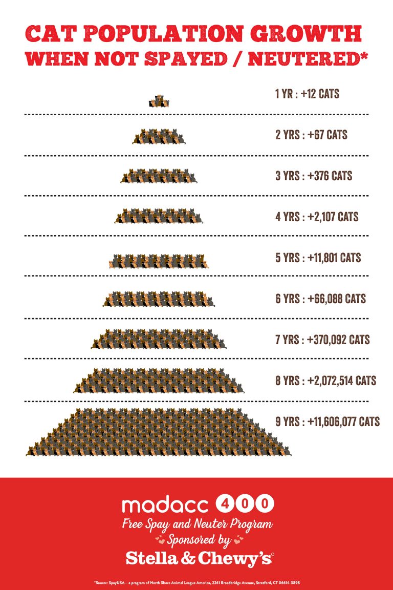 cat chart - MADACC