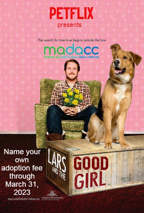 MADACC Milwaukee Area Domestic Animal Control Commission