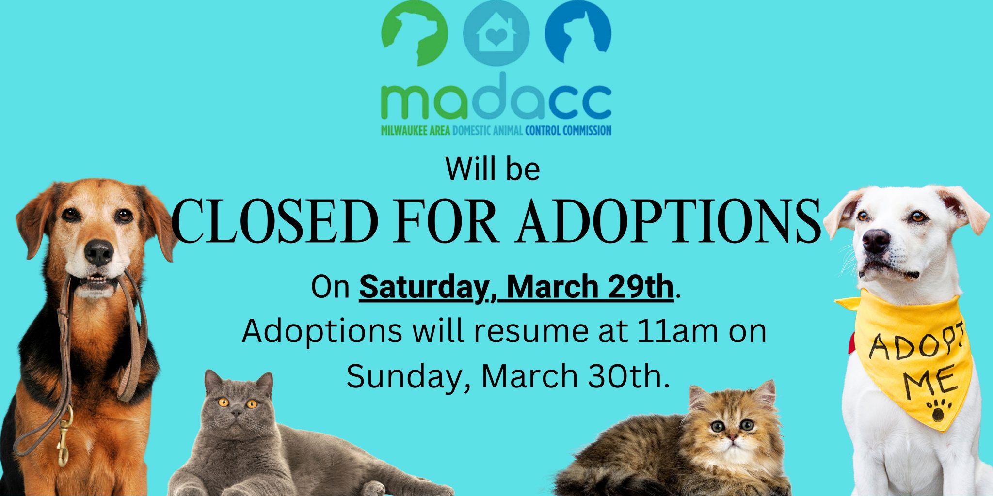 MADACC Milwaukee Area Domestic Animal Control Commission