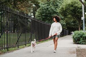 A young woman walking her white dog on a leash along a city sidewalk in a park setting.